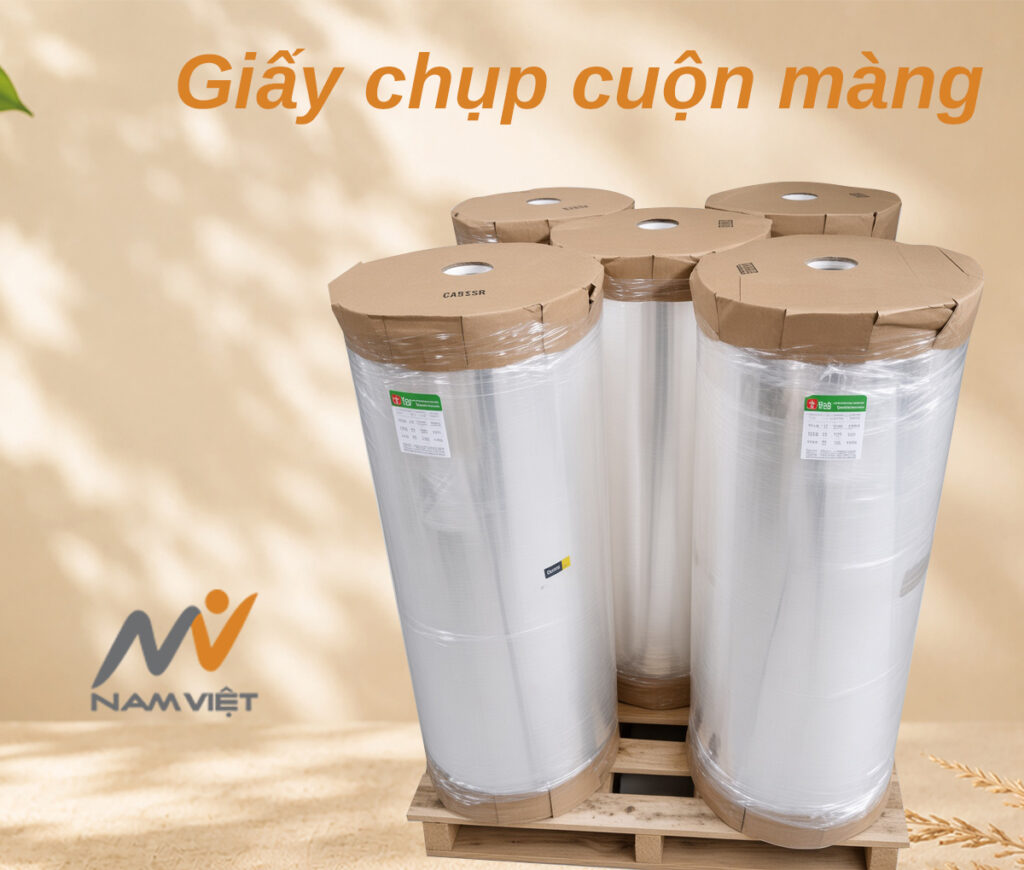 Giấy chụp cuộn màng